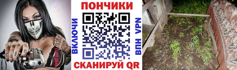 закладка Таганрог Конопля Amnesia